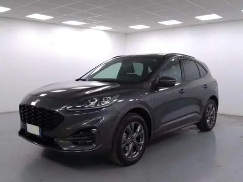 Used FORD KUGA Hybrid 2021 Ad 