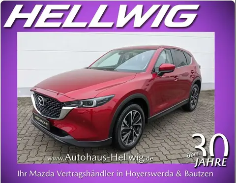 Annonce MAZDA CX-5 Essence 2024 d'occasion 