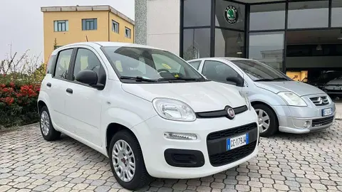 Annonce FIAT PANDA Essence 2020 d'occasion 