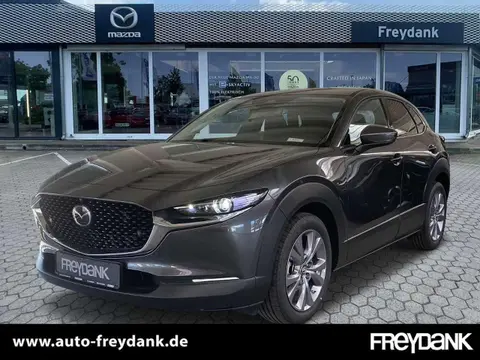 Annonce MAZDA CX-30 Hybride 2023 d'occasion 