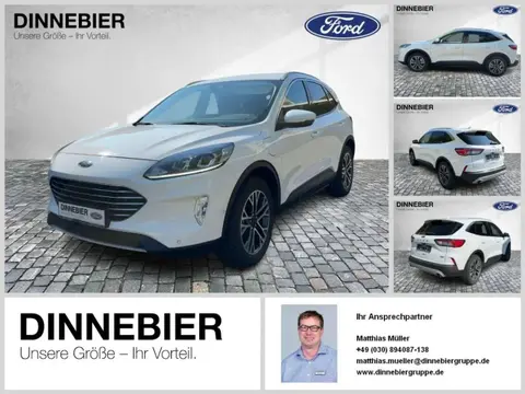 Used FORD KUGA Hybrid 2021 Ad 