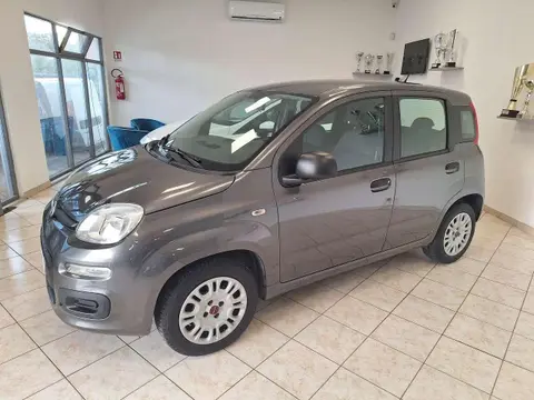 Used FIAT PANDA Petrol 2018 Ad 