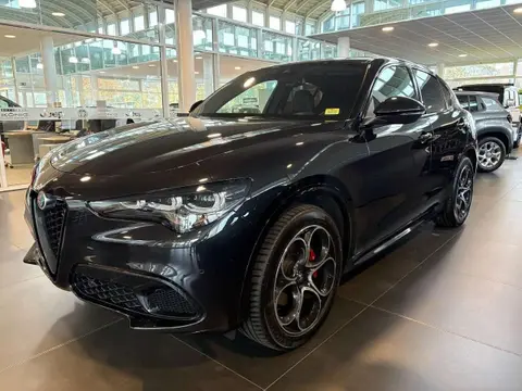 Used ALFA ROMEO STELVIO Petrol 2023 Ad 