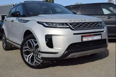 Used LAND ROVER RANGE ROVER EVOQUE Diesel 2019 Ad 