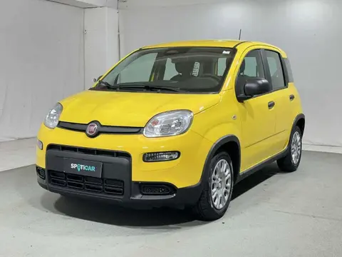 Used FIAT PANDA Hybrid 2024 Ad 