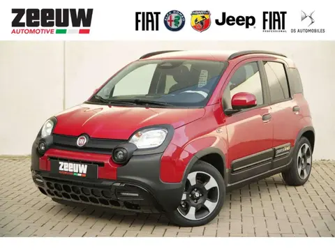 Annonce FIAT PANDA Essence 2024 d'occasion 