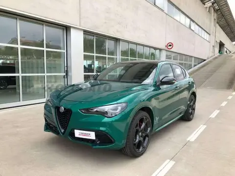 Annonce ALFA ROMEO STELVIO Diesel 2024 d'occasion 