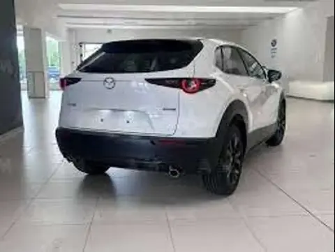 Annonce MAZDA CX-30 Essence 2024 d'occasion 