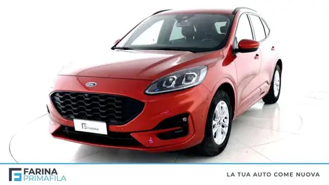 Annonce FORD KUGA Diesel 2020 d'occasion 