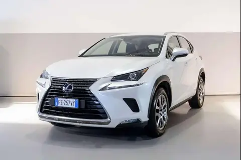 Used LEXUS NX Hybrid 2020 Ad 