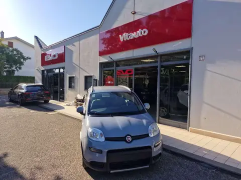 Used FIAT PANDA Hybrid 2022 Ad 