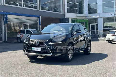 Used LEXUS NX Hybrid 2019 Ad 