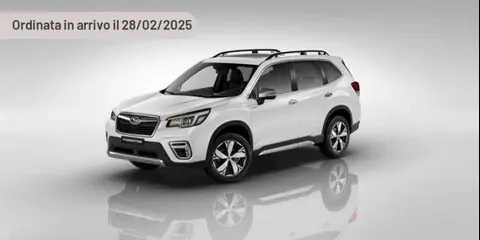 Used SUBARU FORESTER Hybrid 2024 Ad 