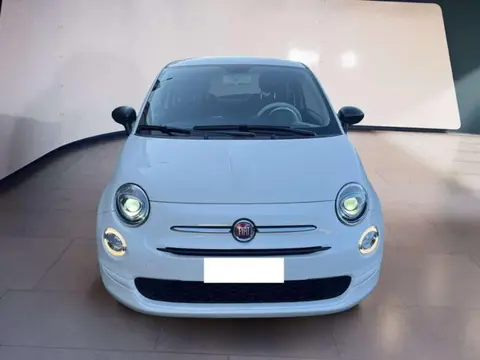 Used FIAT 500 Hybrid 2023 Ad 