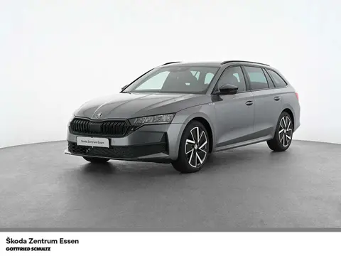 Used SKODA OCTAVIA Diesel 2024 Ad 