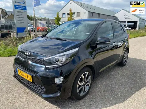 Annonce KIA PICANTO Essence 2023 d'occasion 