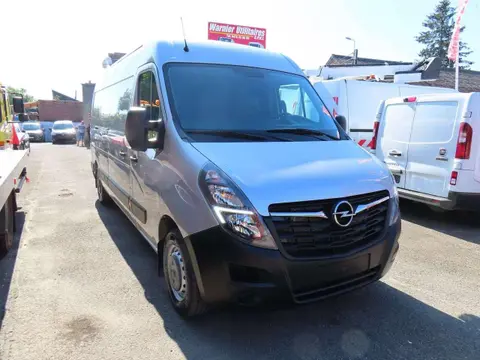 Used OPEL MOVANO Diesel 2021 Ad 