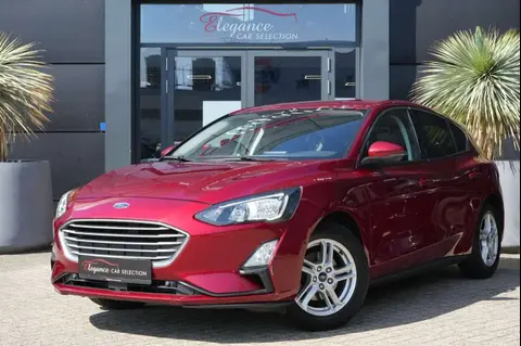 Annonce FORD FOCUS Essence 2019 d'occasion 