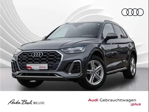 Used AUDI Q5 Hybrid 2021 Ad 