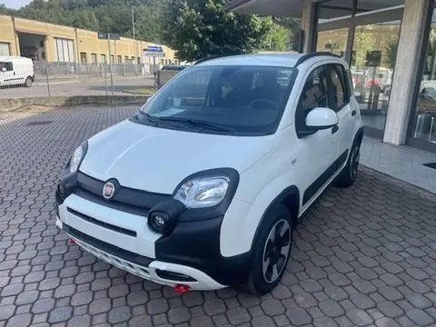 Used FIAT PANDA Petrol 2024 Ad 