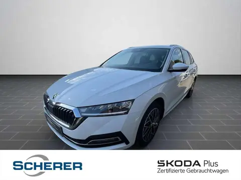 Annonce SKODA OCTAVIA Diesel 2024 d'occasion 