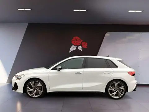 Annonce AUDI S3 Essence 2024 d'occasion 