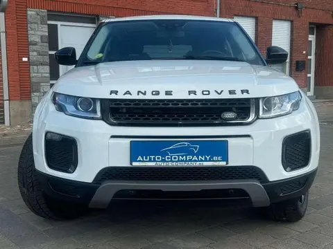 Used LAND ROVER RANGE ROVER EVOQUE Diesel 2019 Ad 