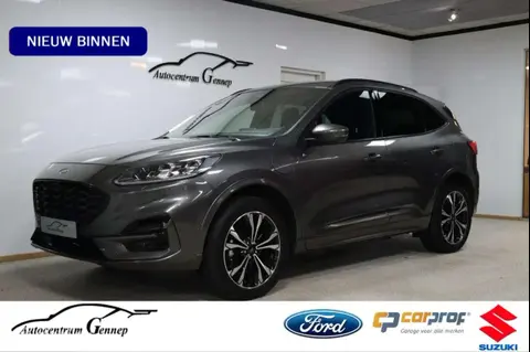 Annonce FORD KUGA Hybride 2023 d'occasion 