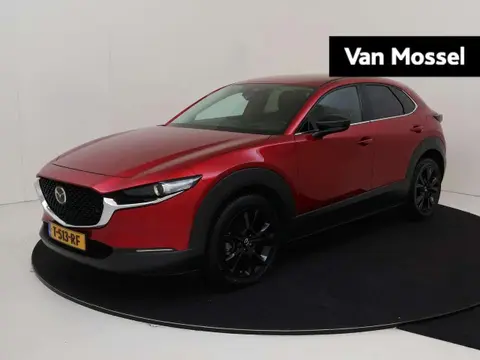 Annonce MAZDA CX-30 Hybride 2023 d'occasion 