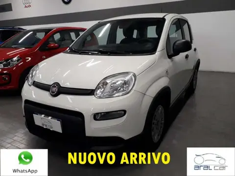 Annonce FIAT PANDA Hybride 2023 d'occasion 