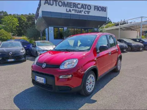 Annonce FIAT PANDA Hybride 2024 d'occasion 