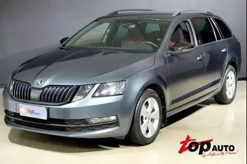 Annonce SKODA OCTAVIA Diesel 2019 d'occasion 