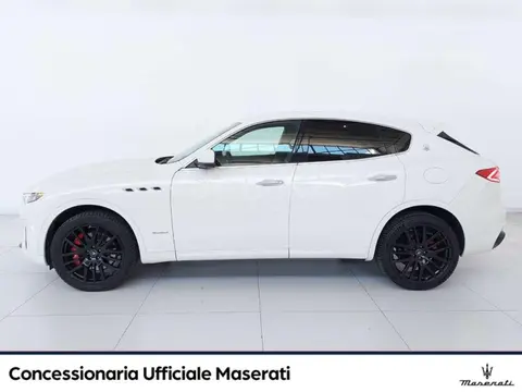 Used MASERATI LEVANTE Petrol 2019 Ad 