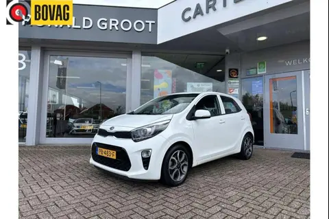 Used KIA PICANTO Petrol 2017 Ad 