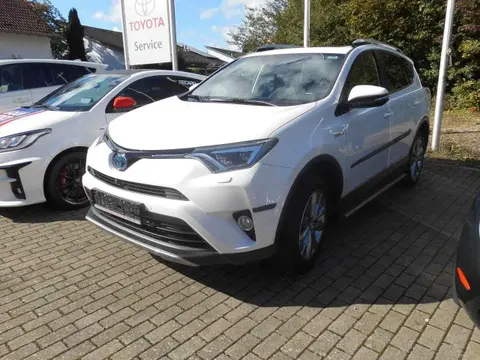 Used TOYOTA RAV4 Hybrid 2018 Ad 