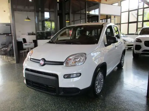 Annonce FIAT PANDA Hybride 2024 d'occasion 