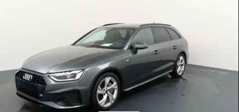 Used AUDI A4 Hybrid 2024 Ad 