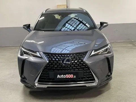 Annonce LEXUS UX Hybride 2021 d'occasion 