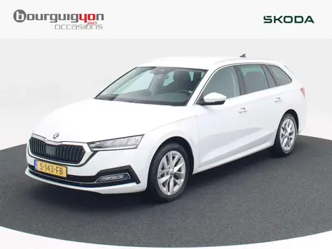 Annonce SKODA OCTAVIA Essence 2023 d'occasion 