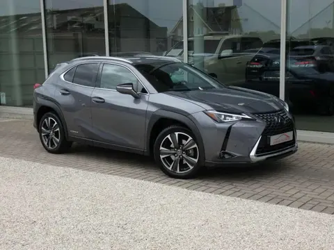 Used LEXUS UX Hybrid 2020 Ad 