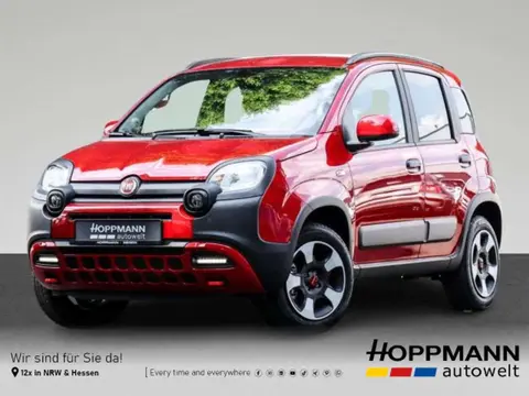 Used FIAT PANDA Petrol 2024 Ad 