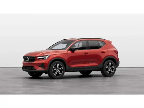 Annonce VOLVO XC40 Essence 2024 d'occasion 