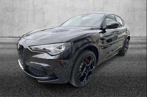 Annonce ALFA ROMEO STELVIO Essence 2024 d'occasion 