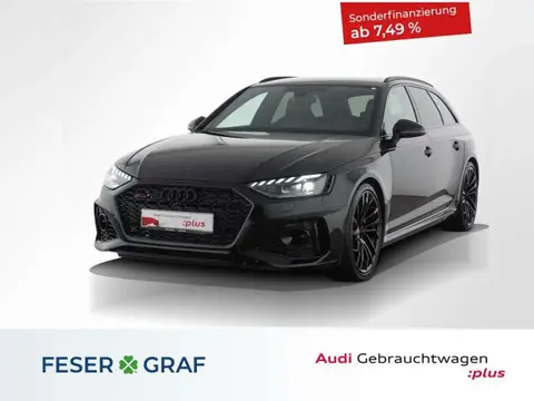 Used AUDI RS4 Petrol 2023 Ad Germany