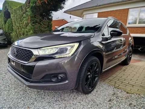 Used DS AUTOMOBILES DS4 CROSSBACK Diesel 2018 Ad Belgium