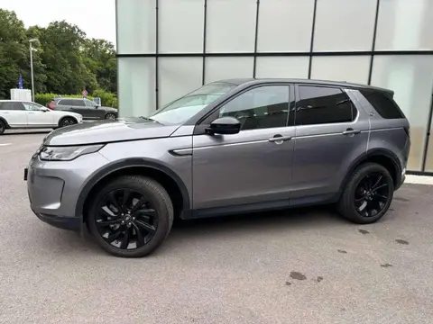 Used LAND ROVER DISCOVERY Diesel 2019 Ad 