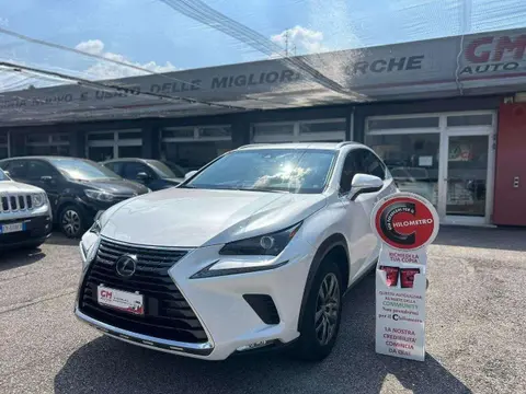 Used LEXUS NX Hybrid 2020 Ad 