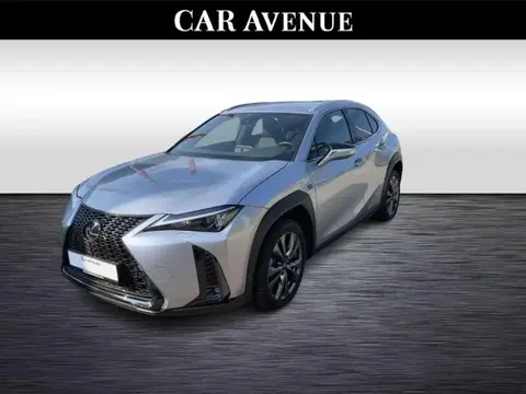 Annonce LEXUS UX Essence 2023 d'occasion 