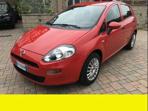 Used FIAT PUNTO LPG 2015 Ad 