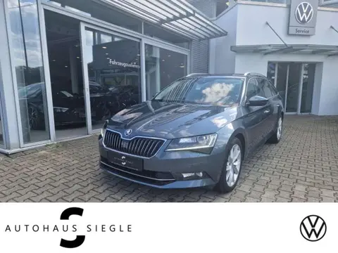 Annonce SKODA SUPERB Diesel 2019 d'occasion 